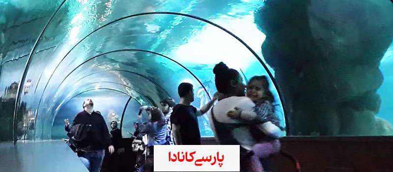جاذبه های گردشگری آنکارا