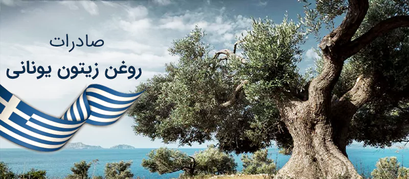 درخت‌های زیتون در کشور یونان