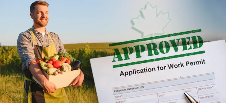 فرصت دوباره دولت کانادا به متخصصان صنایع مواد غذایی و کشاورزی